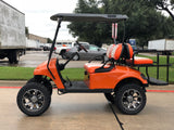 Texas Longhorn Limited Edition